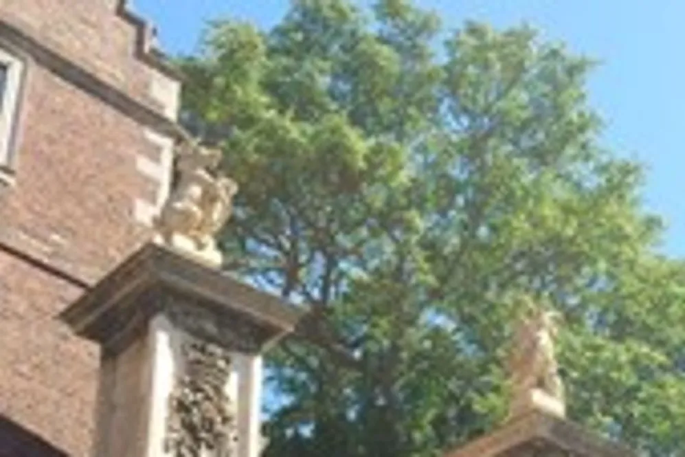 A blurry image of two Yale statues on columns. Yales are mythical goat-like creatures with large horns.