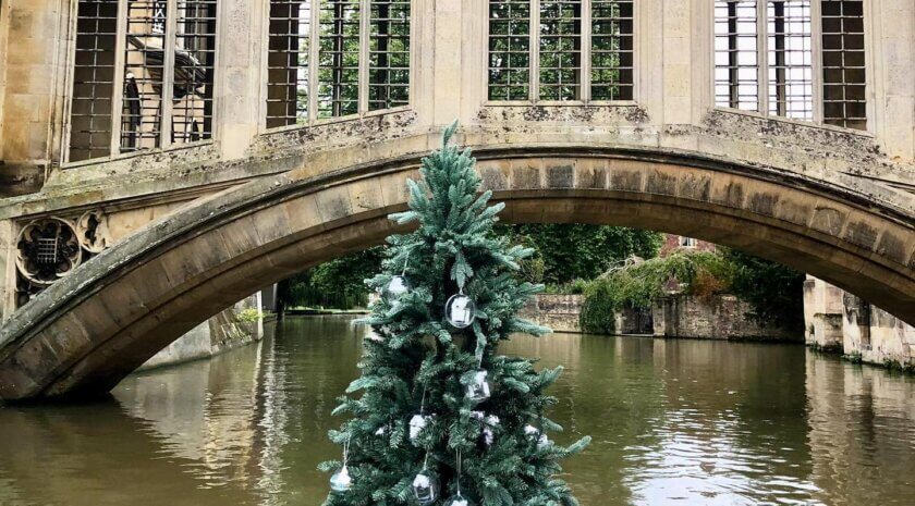 Christmas Tree In A Cambridge Punt