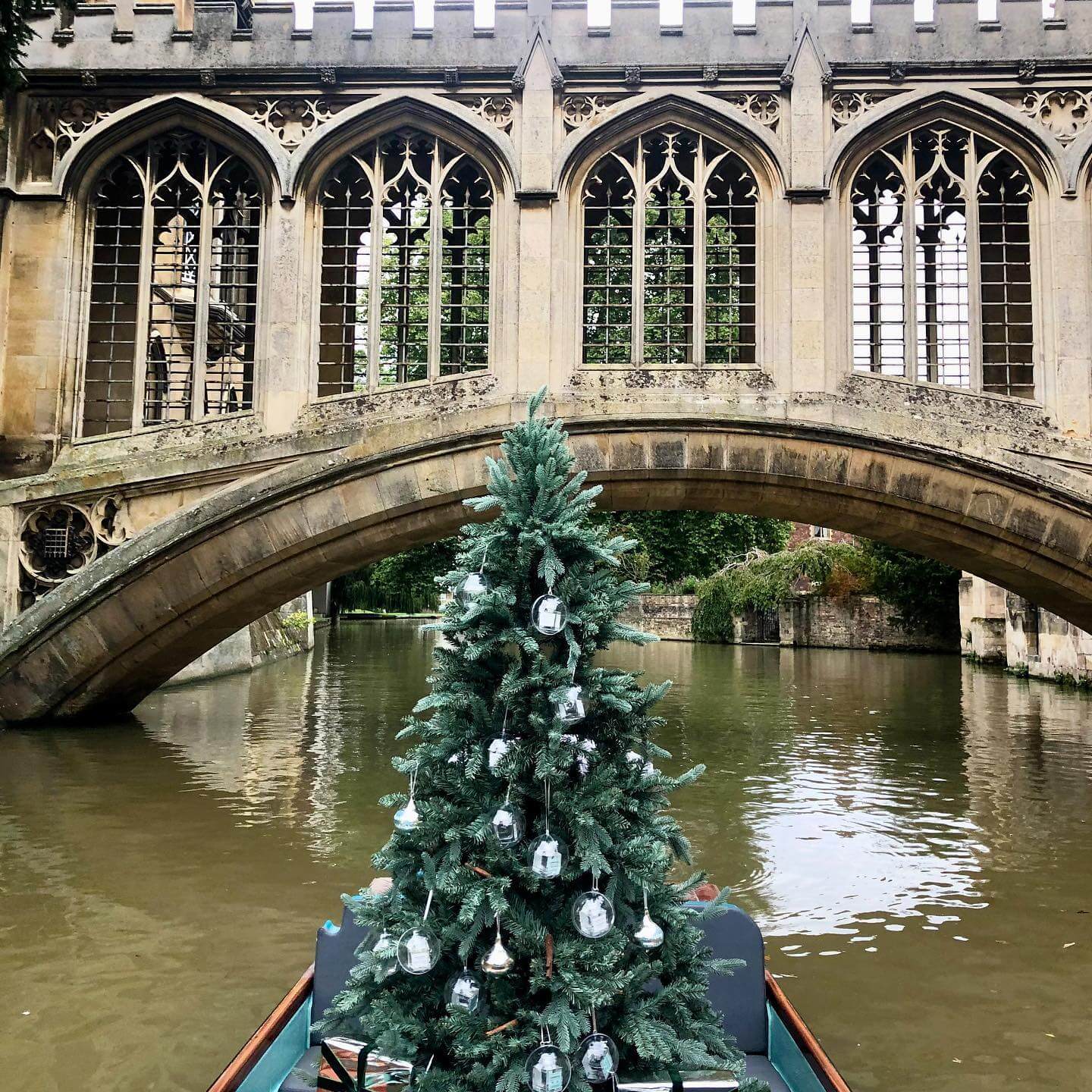 Christmas Tree In A Cambridge Punt